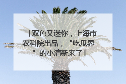 双色又迷你，上海市农科院出品，“吃瓜界”的小清新来了