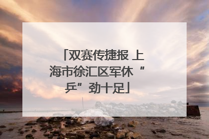 双赛传捷报 上海市徐汇区军休“乒”劲十足