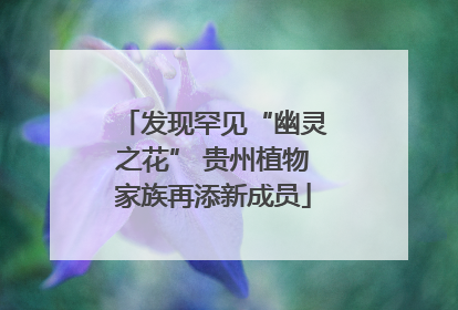 发现罕见“幽灵之花” 贵州植物家族再添新成员