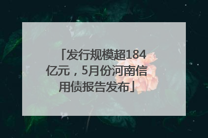 发行规模超184亿元，5月份河南信用债报告发布