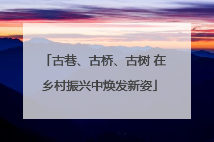 古巷、古桥、古树 在乡村振兴中焕发新姿