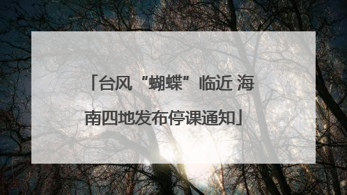 台风“蝴蝶”临近 海南四地发布停课通知
