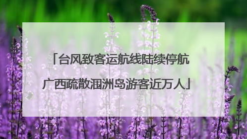 台风致客运航线陆续停航 广西疏散涠洲岛游客近万人
