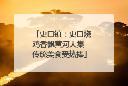史口镇：史口烧鸡香飘黄河大集 传统美食受热捧