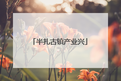 半扎古镇产业兴