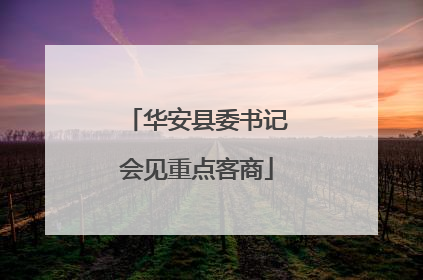 华安县委书记会见重点客商