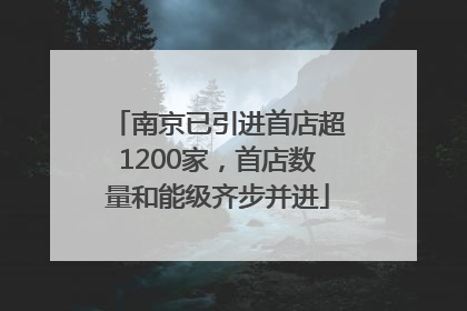 南京已引进首店超1200家，首店数量和能级齐步并进