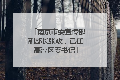 南京市委宣传部副部长张政，已任高淳区委书记