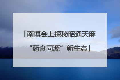 南博会上探秘昭通天麻“药食同源”新生态