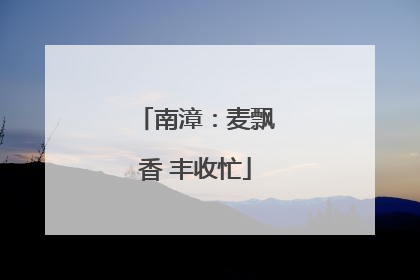 南漳：麦飘香 丰收忙