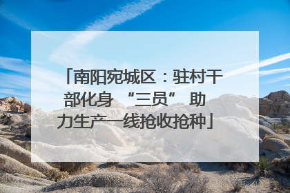 南阳宛城区：驻村干部化身 “三员” 助力生产一线抢收抢种