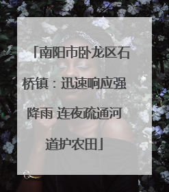 南阳市卧龙区石桥镇：迅速响应强降雨 连夜疏通河道护农田