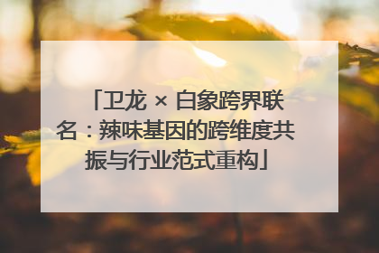 卫龙 × 白象跨界联名：辣味基因的跨维度共振与行业范式重构