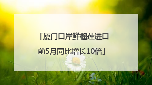 厦门口岸鲜榴莲进口 前5月同比增长10倍