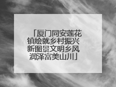 厦门同安莲花镇绘就乡村振兴新图景文明乡风润泽富美山川