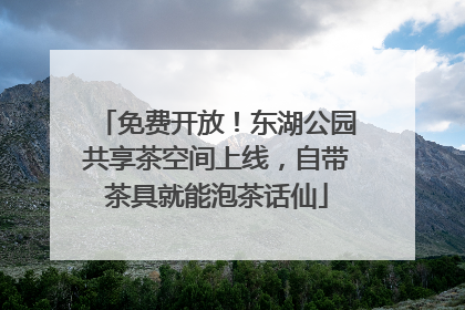 免费开放！东湖公园共享茶空间上线，自带茶具就能泡茶话仙