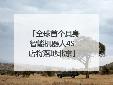 全球首个具身智能机器人4S店将落地北京