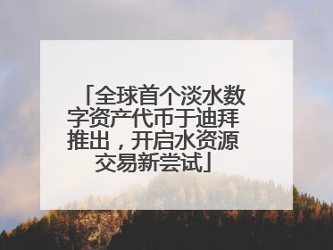 全球首个淡水数字资产代币于迪拜推出，开启水资源交易新尝试
