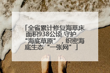 全省累计修复海草床面积938公顷 守护“海底草原”，织密海底生态“一张网”