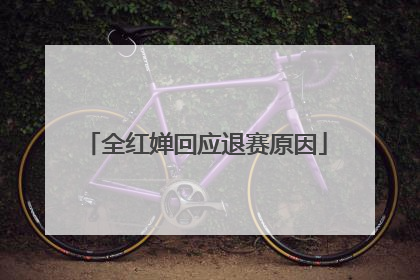 全红婵回应退赛原因