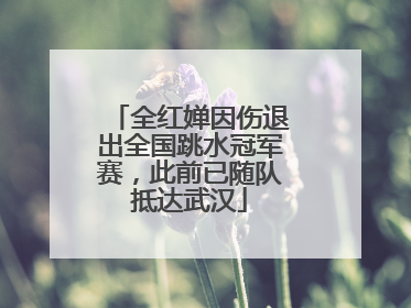 全红婵因伤退出全国跳水冠军赛，此前已随队抵达武汉