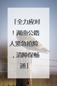全力应对！湖南公路人紧急抢险，清障保畅通