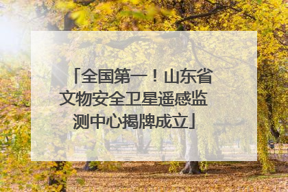 全国第一！山东省文物安全卫星遥感监测中心揭牌成立