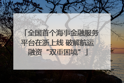 全国首个海事金融服务平台在浙上线 破解航运融资“双重困境”