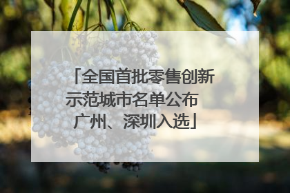 全国首批零售创新示范城市名单公布 广州、深圳入选