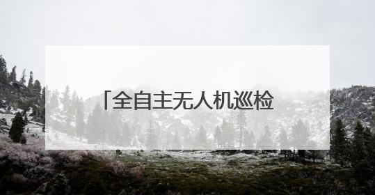 全自主无人机巡检系统首次亮相夷陵