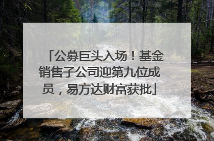 公募巨头入场！基金销售子公司迎第九位成员，易方达财富获批