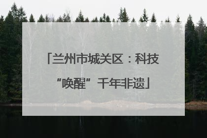 兰州市城关区：科技“唤醒”千年非遗