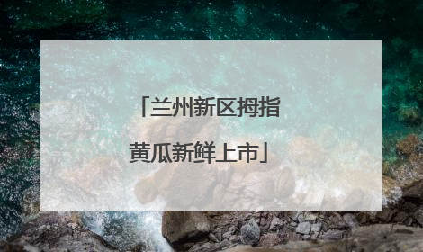 兰州新区拇指黄瓜新鲜上市