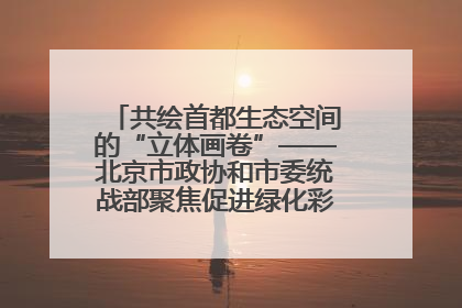 共绘首都生态空间的“立体画卷”——北京市政协和市委统战部聚焦促进绿化彩化美化生态空间建设联合协商议政