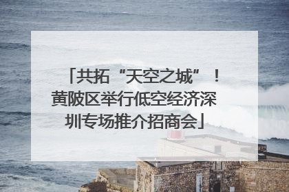 共拓“天空之城”！黄陂区举行低空经济深圳专场推介招商会