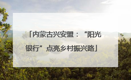内蒙古兴安盟：“阳光银行”点亮乡村振兴路