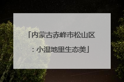 内蒙古赤峰市松山区：小湿地里生态美