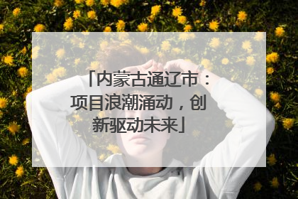 内蒙古通辽市：项目浪潮涌动，创新驱动未来