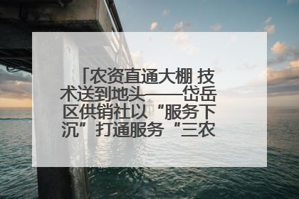 农资直通大棚 技术送到地头——岱岳区供销社以“服务下沉”打通服务“三农”最后一公里