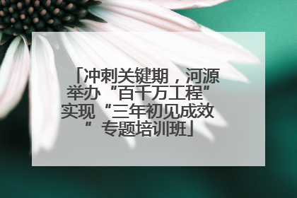 冲刺关键期，河源举办“百千万工程”实现“三年初见成效”专题培训班