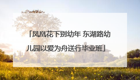 凤凰花下别幼年 东湖路幼儿园以爱为舟送行毕业班