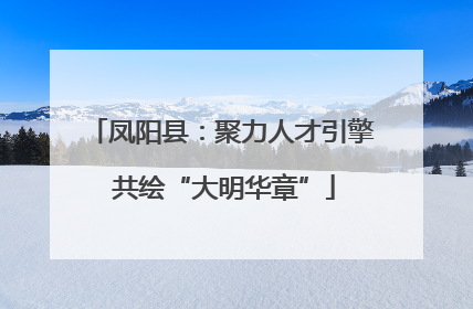 凤阳县：聚力人才引擎 共绘“大明华章”
