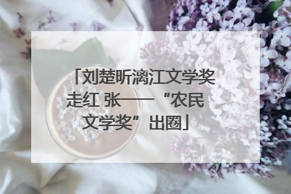 刘楚昕漓江文学奖走红 张一一“农民文学奖”出圈
