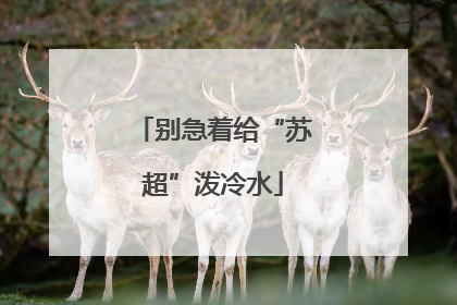 别急着给“苏超”泼冷水