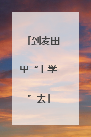 到麦田里“上学”去