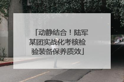 动静结合！陆军某团实战化考核检验装备保养质效
