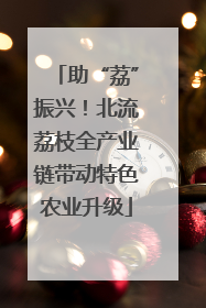 助“荔”振兴！北流荔枝全产业链带动特色农业升级