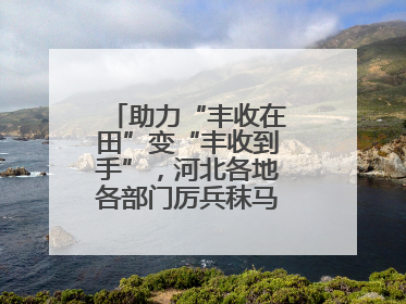 助力“丰收在田”变“丰收到手”，河北各地各部门厉兵秣马迎战“三夏”
