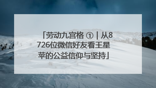 劳动九宫格 ①｜从8726位微信好友看王星苹的公益信仰与坚持