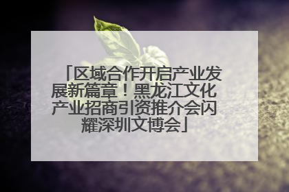 区域合作开启产业发展新篇章！黑龙江文化产业招商引资推介会闪耀深圳文博会